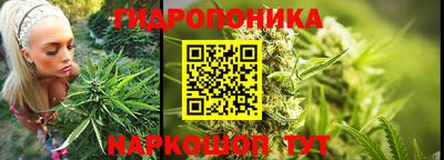 spice Беслан