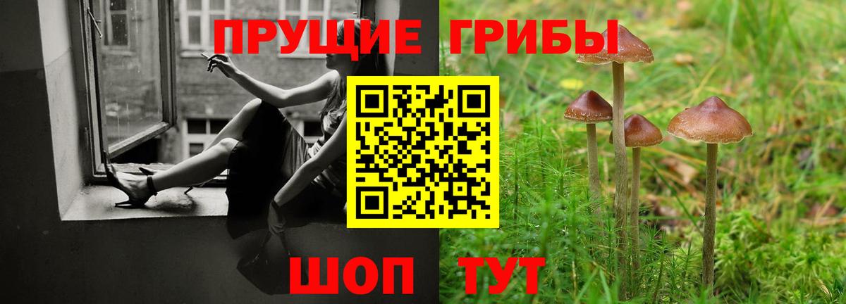 Галлюциногенные грибы Cubensis  закладки  Каменск-Шахтинский  Вход с VPN  Псилоцибиновые грибы Cubensis 