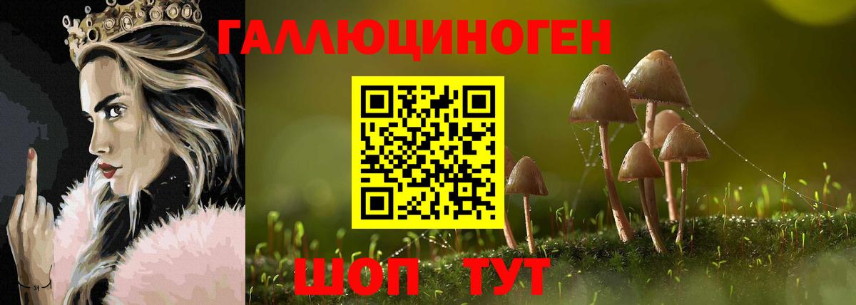 Галлюциногенные грибы Psilocybe Каменск-Шахтинский